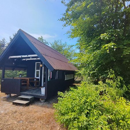 Tranum Klit Camping Og Hytteudlejning Brovst Dış mekan fotoğraf