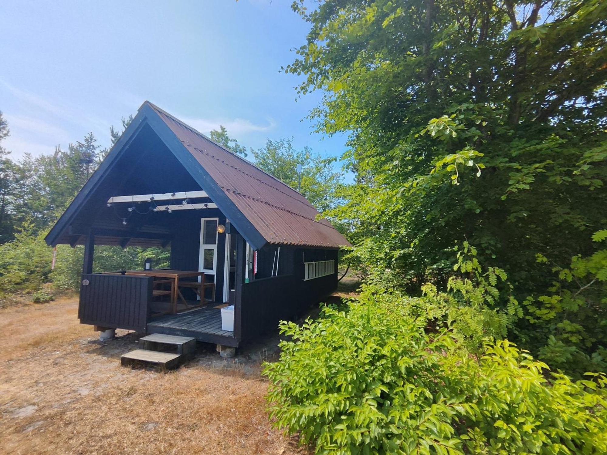Tranum Klit Camping Og Hytteudlejning Brovst Dış mekan fotoğraf